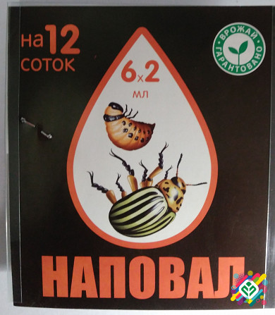 Наповніть 6 ампул по 2 мл. Херсон - изображение 1