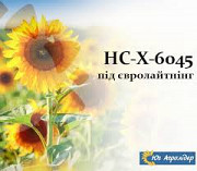 Насіння соняшнику HC - X - 6045, під євро-лайтнінг Київ