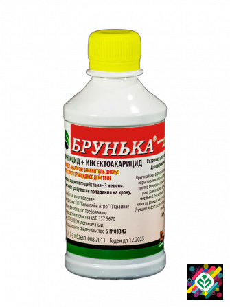 Брунька 350 мл. -> Брунька 350 мл. Херсон - зображення 1