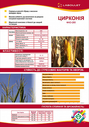 Гібрид кукурудзи ЦИРКОНІЯ ФАО 260 Лабуле. -> Гібрид кукурудзи ЦИРКОНІЯ ФАО 260 Лабуле. Киев - изображение 1