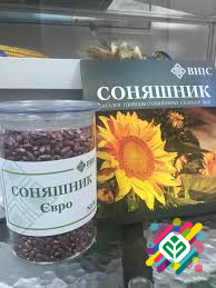 Насіння соняшника Євро (під Євроблискавка). Київ - изображение 1
