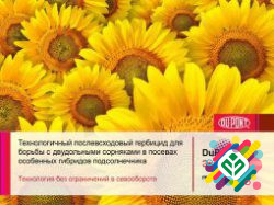 Гербіцид Експрес 75, 0,5 кг, ціна за кг. Кропивницький - зображення 1