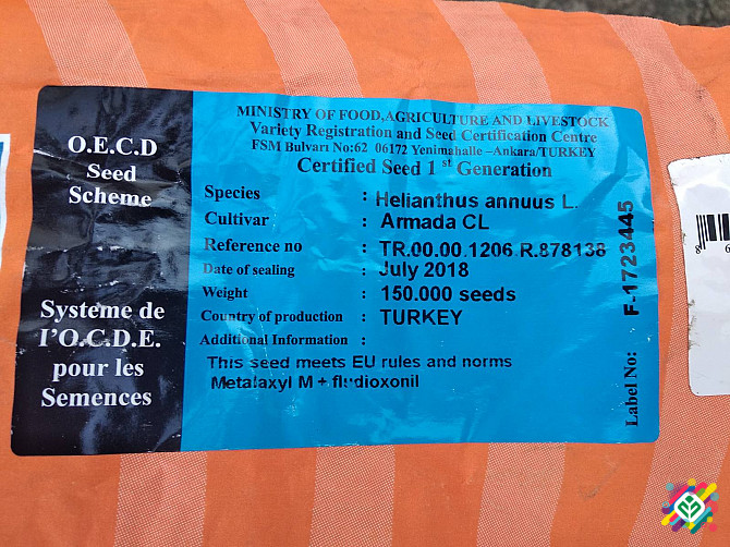 Купити насіння соняшника Армада КЛ. Київ - зображення 1