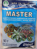 Майстер декоративно-листяні 25 г. Херсон