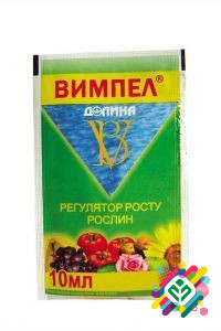 Вимпел 10 мл. Херсон - зображення 1