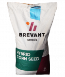 Семена кукурузы МТ МАТАДО от компании BREVANT Seeds Кропивницкий