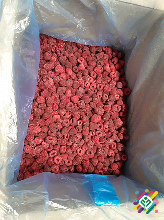 Продам малину. Харків - зображення 1
