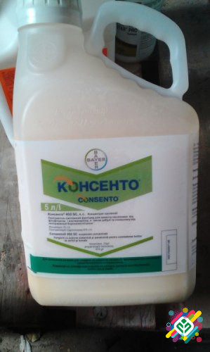 Купити Консенто фунгицид 5л цена за л. - Фунгіциди в Кропивницькому на ...
