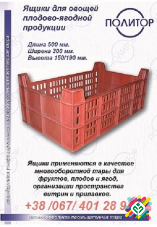 Пластикові ящики для овочів. Рівне - зображення 1