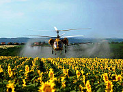 Внесення фунгіцидів на соняшник вертольотом Вінниця