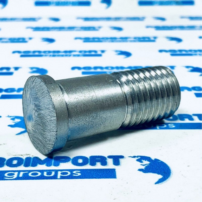 3018219 Гвинт D25/20x49/53, 5-M20 Zn (301 8219) Lemken (Лемкен), Київ.  - изображение 1