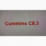 Запчастини для двигуна Cummins C8.3, Київ. Украина