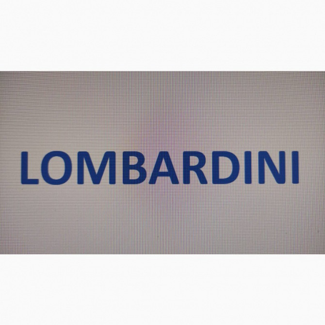 Запчастини Lombardini, Kohler, Київ  - зображення 1