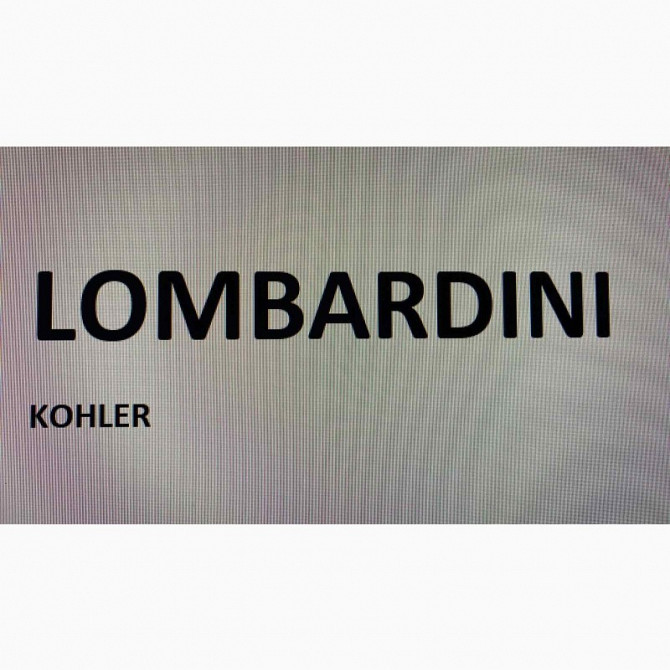 Запчастини до двигунів Lombardini LDW 2204 (МТЗ-422), Київ.  - изображение 1