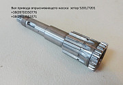 Вал 55010427 приводу насоса зетор 5201/7201, Київська обл. Україна