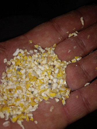 Продаємо на постійній основі зернові відходи та бокові продукти кукурудзи, Харківська область.  - изображение 1