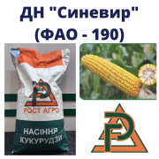 Сім'я кукурудзи ДН Синевир ФАО 190 від Рост Агро, Київ. Україна