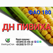 Насіння кукурудзи - ДН ПІВХА (ФАО 180) від ТОВ ХімАгроСтеп, Дніпропетровська область. Україна