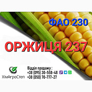 Насіння кукурудзи - ОРЖИЦЯ 237 МВ (ФАО 230) від ТОВ "ХімАгроСтеп", Дніпропетровська область. Україна