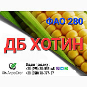 Насіння кукурудзи - ДБ ХОТИН (ФАО 280) від ТОВ "ХімАгроСтеп", Дніпропетровська область. Україна