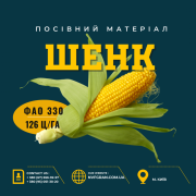 Шенк (ФАО 330) Насіння кукурудзи, гібрид української селекції, Полтавська область. Україна