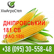 Насіння гібриду кукурудзи Дніпровський 181 СВ (ФАО 180), Дніпропетровська область. Україна