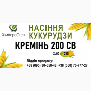 ТОВ ХімАгроСтеп пропонує насіння кукурудзи КРЕМЕНЬ 200 СВ (ФАО 210), Дніпропетровська область. Україна