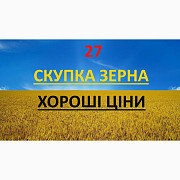 Компанія постійно закуповує протравлену (червону) кукурудзу в Тернопільській області. Украйна