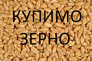 Компанія на постійній основі закуповує зернові культури та інші, Тернопільська область. Украйна