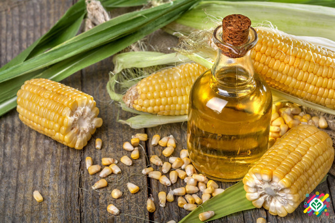 Оптова продаж кукурудзяної олії. Київ - изображение 1