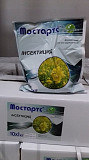 Мостартс РП, інсектицид/ аналог Моспилан, Ацетамиприд 200 г/кг Киев