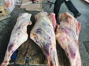 Мясо говядина Киев