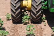 Шина 520/85 R46 (20.8R46) MICHELIN Agribib 2, Київська область. Украина