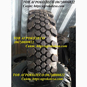 Шини 9.00-20, 10.00-20, 12.5-20 (340/80-20), 16.0/70-20 (405/70-20), 14.5-20, Дніпропетровська облас Украина