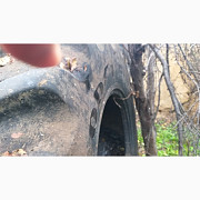 Була шина на комбайн 800/65R32 (30.5L32) Goodyear (пара), Одеська область. Україна