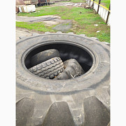Була шина 650/85R38 Alliance (на лютий), Дніпропетровська область. Україна