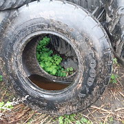 Шини 15, 70-18 GoodYear, Черкаська область. Україна