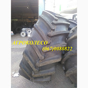 710/70R42 Бел-175 173D Белшина, Дніпропетровська область. Україна