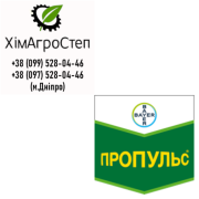 Пропульс (флуопірaм, 125 г/л та + пропіконазол, 125 г/л), Дніпропетровська область. Україна