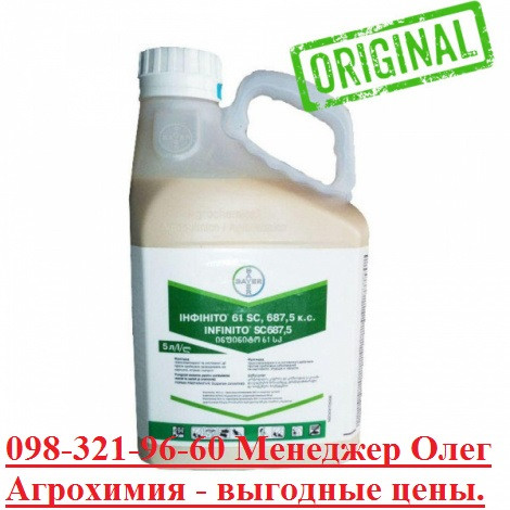 Інфініто купити, Інфініто ціна, Інфініто картопля, Інфініто Bayer, Інфініто ціна, Київ.  - зображення 1