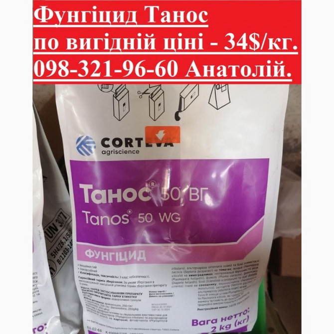 Телята куплю, Телята продаж, Телята опис, Телята витрати, Телята вигідна ціна 34$/кг, Київ.  - зображення 1
