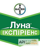 Куплю Тітус, Авіатор, Ширлан. Також купую фалькон, дерозал, куплю кароген, Львівська область. 