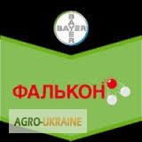 Фалкон фунгіцид, Фалкон купити, Фалкон Байєр, Фалкон продаж, Фалкон ціна, 600 грн/л, Житомирська. Україна