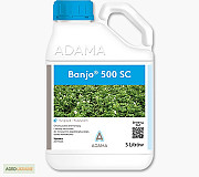 Банджо Адама, Банджо продаж, Банджо фунгіцид, Банджо фунгіцид, Банджо ціна 2400 грн/л, Запорізька об Україна