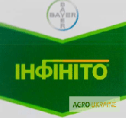 Фунгіцид Інфініто SC Bayer для овочів, Інфініто купити, Інфініто ціна, 550 грн/л, Київ. Україна