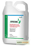Фунгіцид Карбезім Карбендазим 500 г/л (Дерозал), Вінницька область. Україна