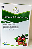 Pomarsol Forte 80 wg (Помарсол Форте) 1 кг - контактний фунгіцид від мучниці та сірої гнилі, Волинсь 