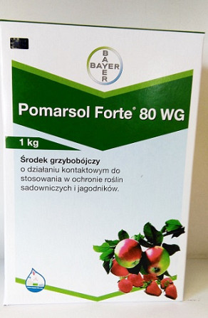 Pomarsol Forte 80 wg (Помарсол Форте) 1 кг - контактний фунгіцид від мучниці та сірої гнилі, Волинсь  - сүрөт 1