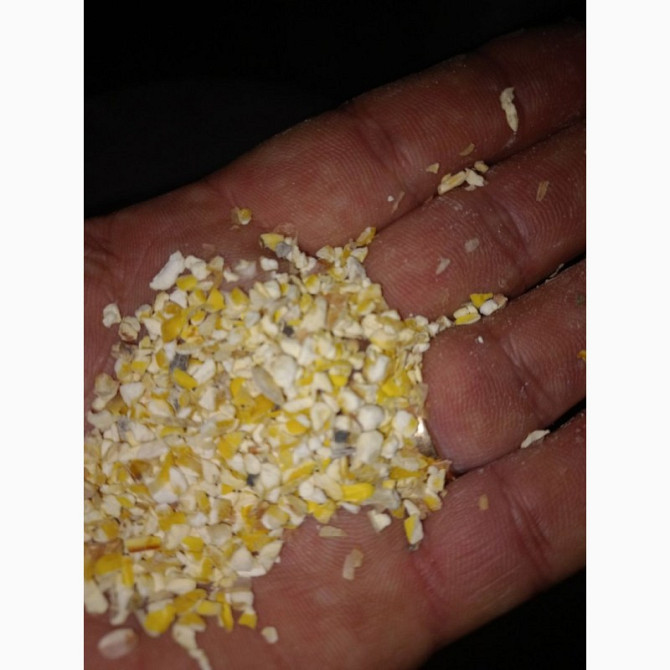 Побічні продукти з кукурудзи та зернові відходи, Сумська область.  - зображення 1