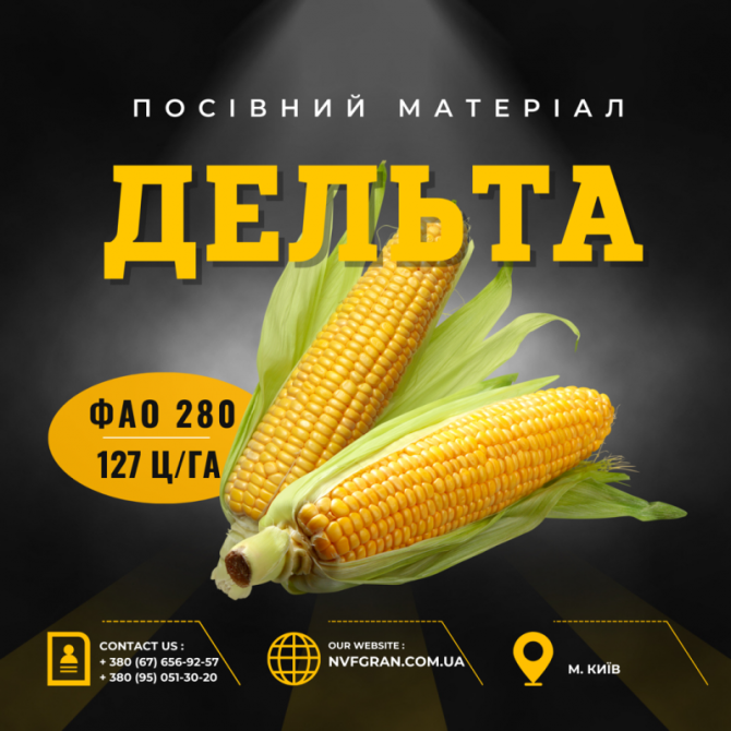 ДЕЛЬТА (ФАО 280) насіння на посів 2024, Полтавська область.  - изображение 1